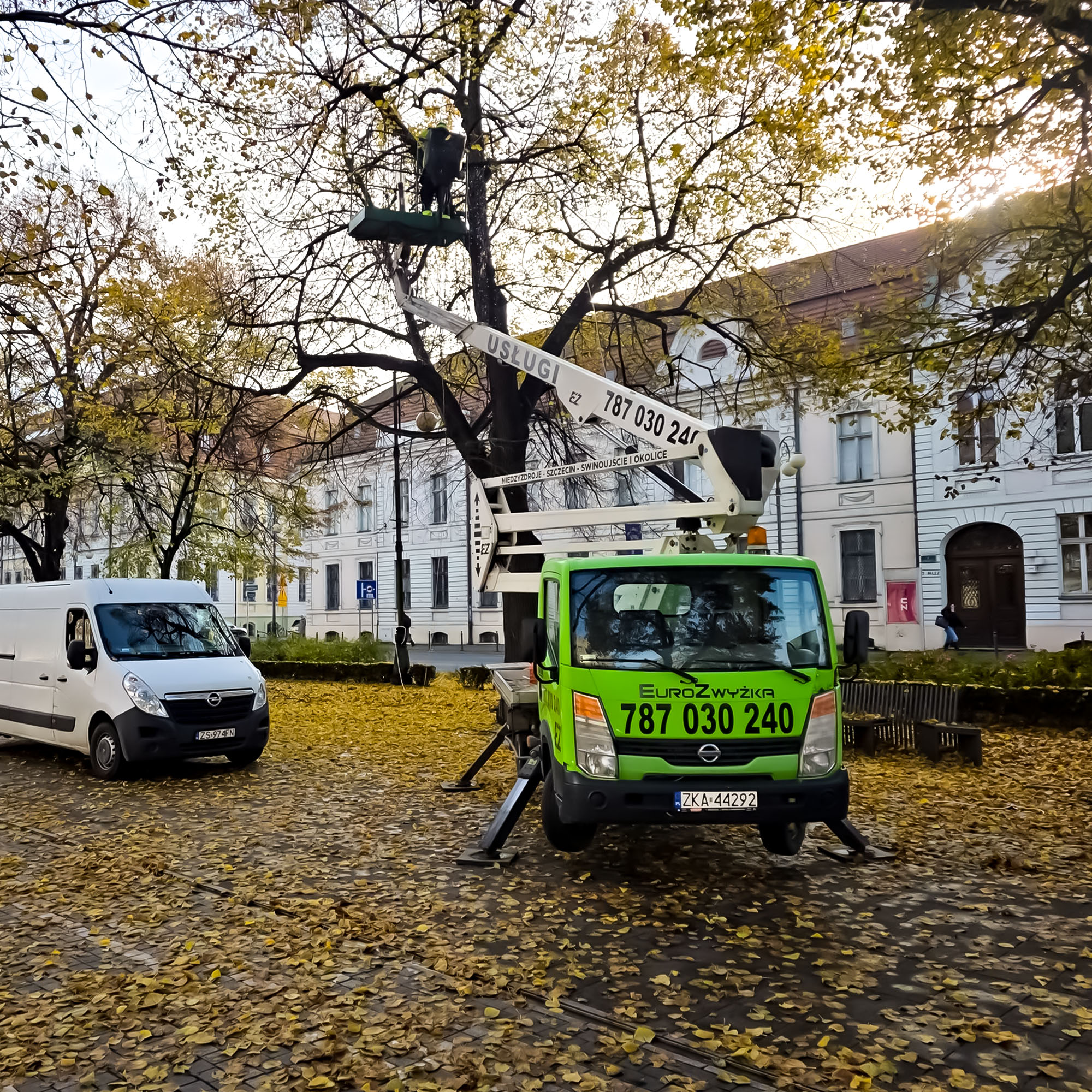 Usuwanie suchych gałęzi z podnośnika